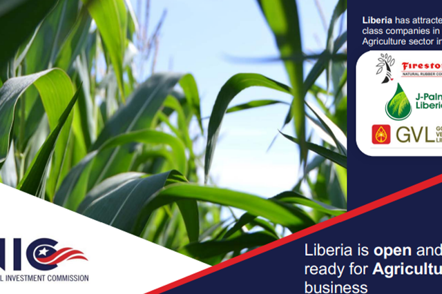 Road infrastructure investment opportunities in Liberia